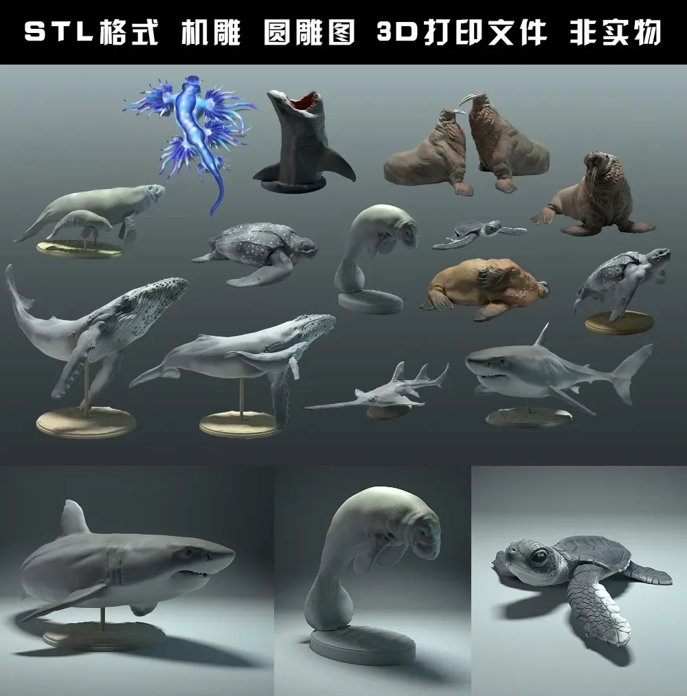동물, 북극곰, 타킨, 늑대, 들소, 흰 족제비, 토끼 - 3D Printing Rabbit 리뷰 및 가격