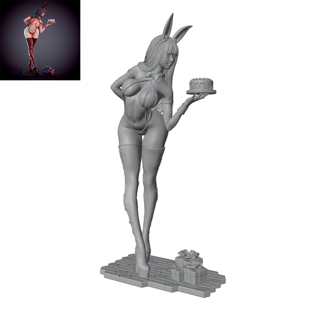 1/24/12/6 휴일 파티 테마 버니걸 캐릭터, 귀여 - 3D Printing For Dummies 리뷰 및 가격