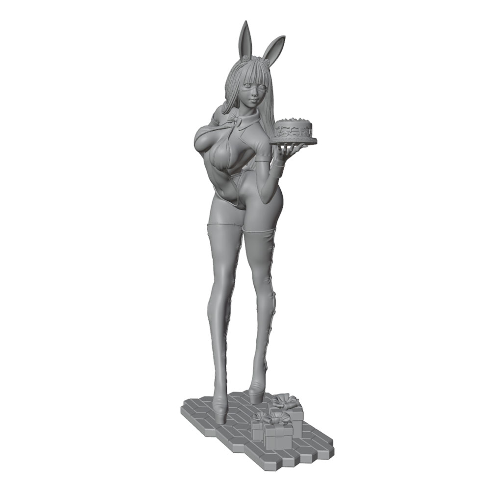 1/24/12/6 휴일 파티 테마 버니걸 캐릭터, 귀여 - 3D Printing For Dummies 리뷰 및 가격