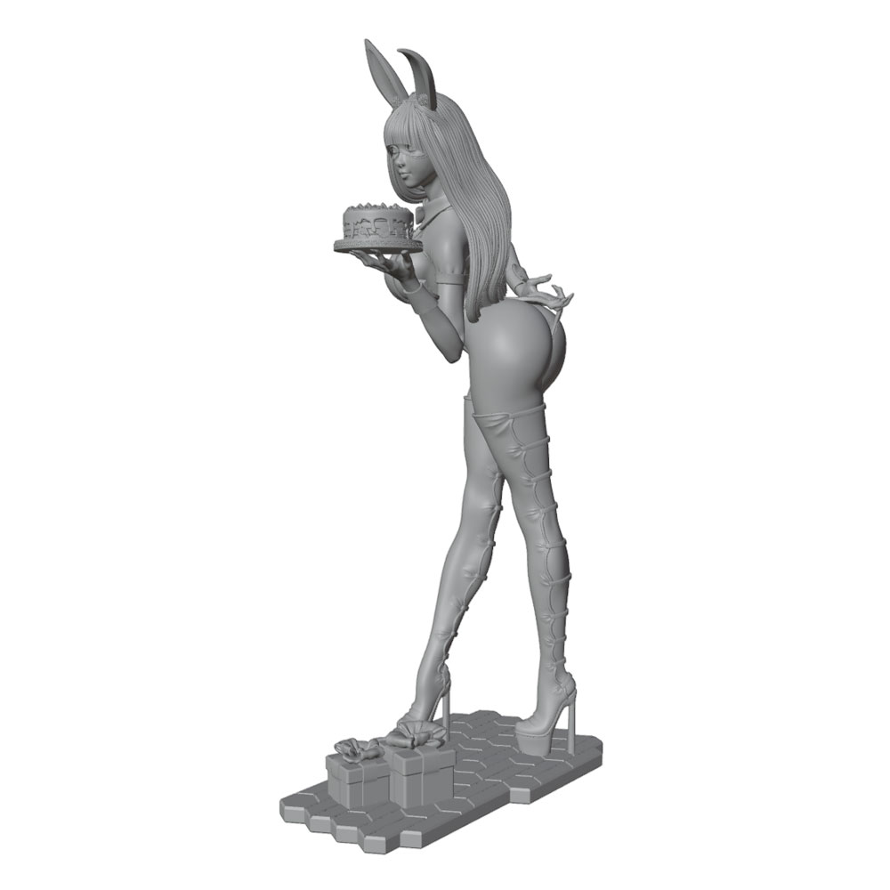 1/24/12/6 휴일 파티 테마 버니걸 캐릭터, 귀여 - 3D Printing For Dummies 리뷰 및 가격