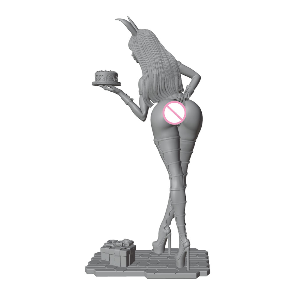 1/24/12/6 휴일 파티 테마 버니걸 캐릭터, 귀여 - 3D Printing For Dummies 리뷰 및 가격