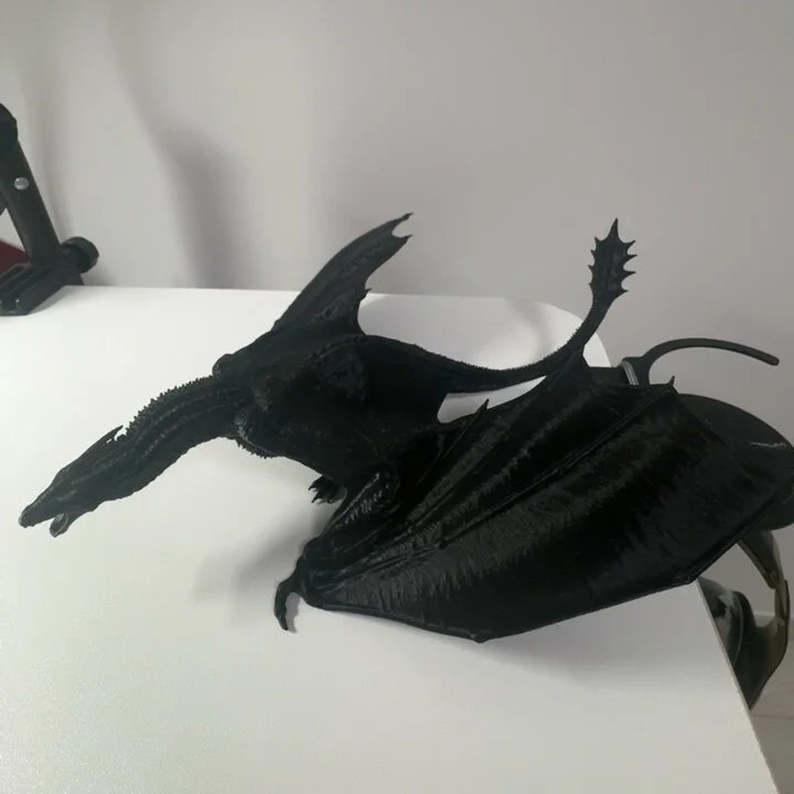 3D 프린팅된 용 모형 레진 날아다니는 용 피규어 마법 - 3D Printing For Dummies 리뷰 및 가격